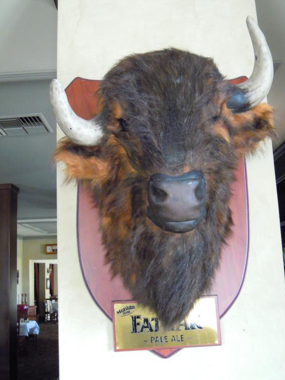 Moondyne Joe'S Hotell Fremantle Eksteriør bilde
